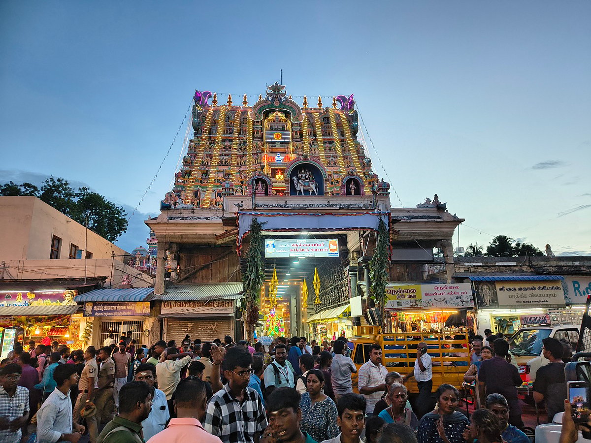 திருநெல்வேலி: தேரோட்டத்திற்குத் தயாரான நெல்லையப்பர் தேர்; அமைச்சர் நேரில் ஆய்வு | Photo Album