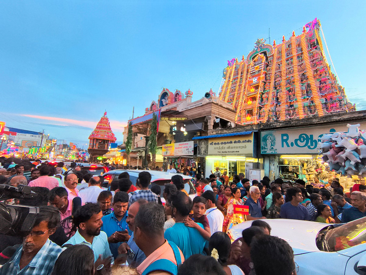 நெல்லையப்பர் ஆனிப் பெருந்திருவிழா; தங்க சப்பரத்தில் காட்சியளித்த சுவாமி கங்காளநாதர் | Photo Album