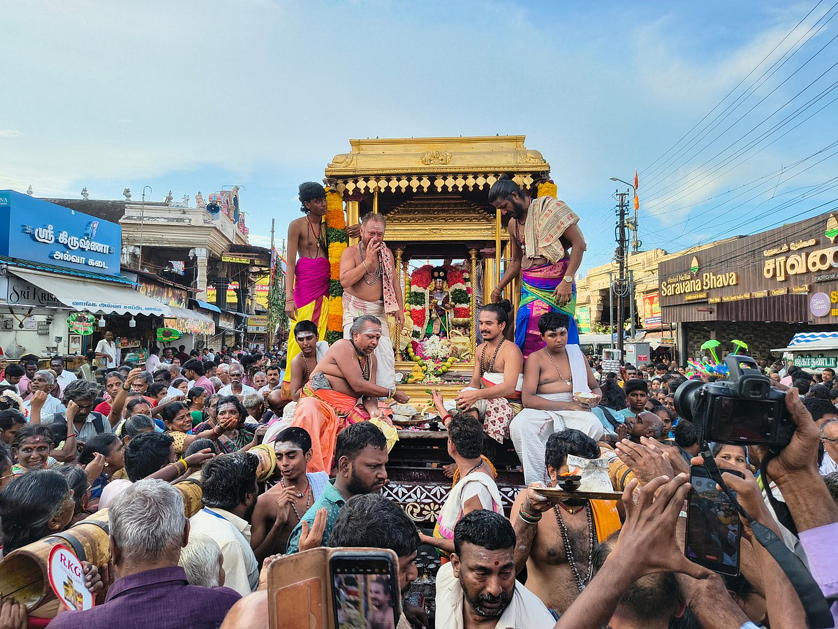 நெல்லையப்பர் ஆனிப் பெருந்திருவிழா; தங்க சப்பரத்தில் காட்சியளித்த சுவாமி கங்காளநாதர் | Photo Album