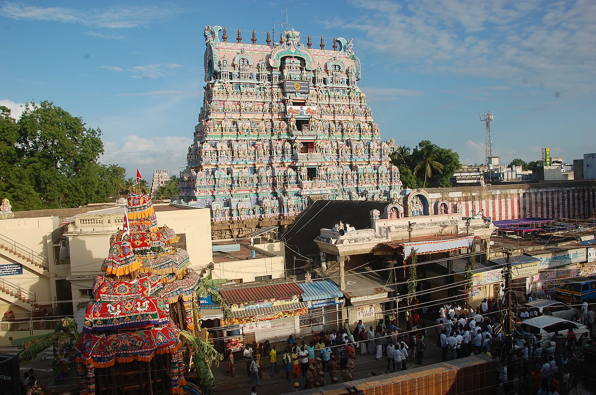 நெல்லையப்பர்-காந்திமதி அம்பாள் கோயில் 520-வது ஆனிப் பெருந்தேர்த்திருவிழா | Photo Album