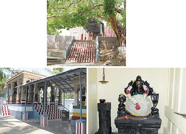 தீர்த்தத் தொட்டி விருப்பாட்சி ஆறுமுக நயினார் திருக்கோயில்