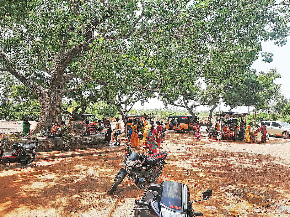 திருவள்ளூர், செங்கரை காட்டுச் செல்லியம்மன்: அம்மனுக்கு வடை மாலை... பிள்ளைவரம் நிச்சயம்!