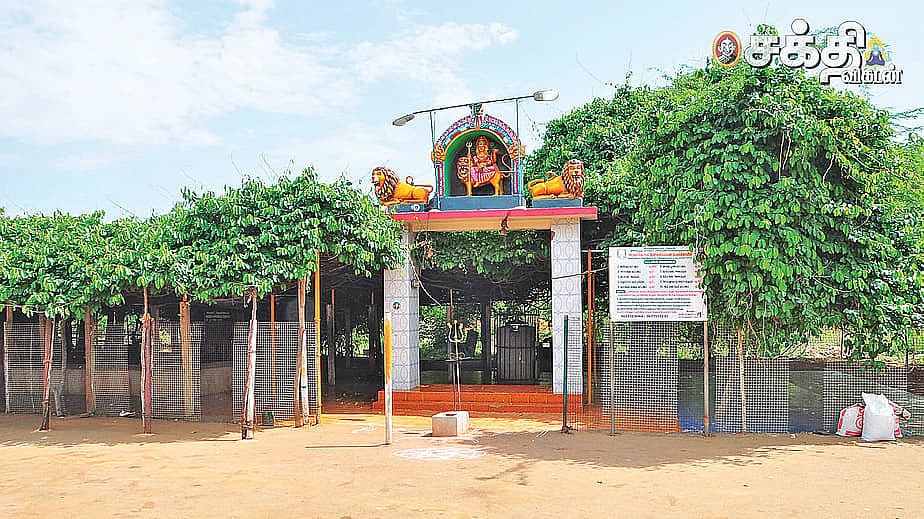 திருவள்ளூர், செங்கரை காட்டுச் செல்லியம்மன்: அம்மனுக்கு வடை மாலை... பிள்ளைவரம் நிச்சயம்!