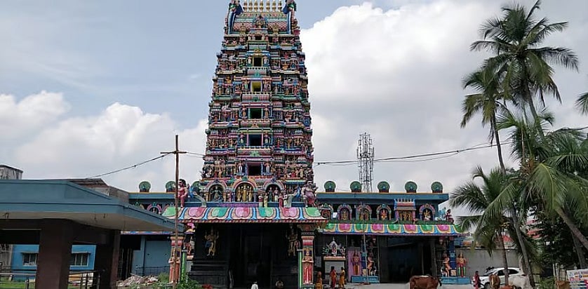 சேலம்: காவடி பழநியாண்டவர் கோயிலில் சக்திவிகடன் நடத்தும் திருமண வரம்தரும் ஶ்ரீசுயம்வர பார்வதி ஹோமம்!