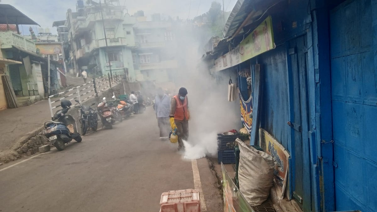 Ooty: பூச்சிகளால் முடங்கும் இயல்பு வாழ்க்கை; கடையடைப்பு போராட்டம்; என்ன நடக்கிறது ஊட்டியில்?