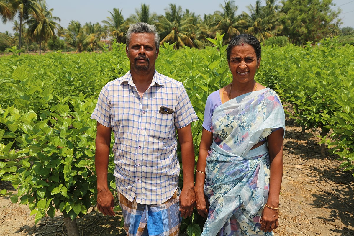 பட்டுப்பூச்சி வளர்ப்பு – பெண்களின் சுயசார்பையும் தன்னம்பிக்கையையும் நெய்யும் அமைதியான புரட்சி!
