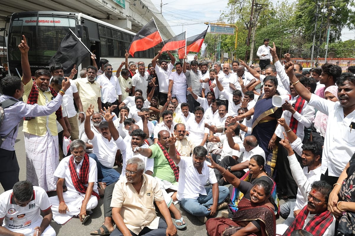 உதயநிதி ஸ்டாலின் கைது; 
நெல்லையில்  போராட்டத்தில் இறங்கிய திமுகவினர்! | Album