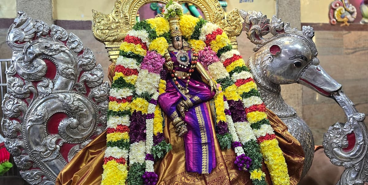 மீனாட்சி சுந்தரேசுவரர் கோயில் ஆவணித் திருவிழா: அன்னவாகனத்தில் அருள்பாலித்த சுவாமி–அம்பாள் | Photos