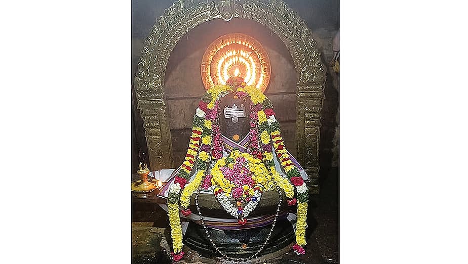 தஞ்சை மாவட்டம் அரிசிற்கரைப்புத்தூர் படிக்காசுநாதர் கோயில்: பணக்கஷ்டம் தீர்க்கும் தலம்!
