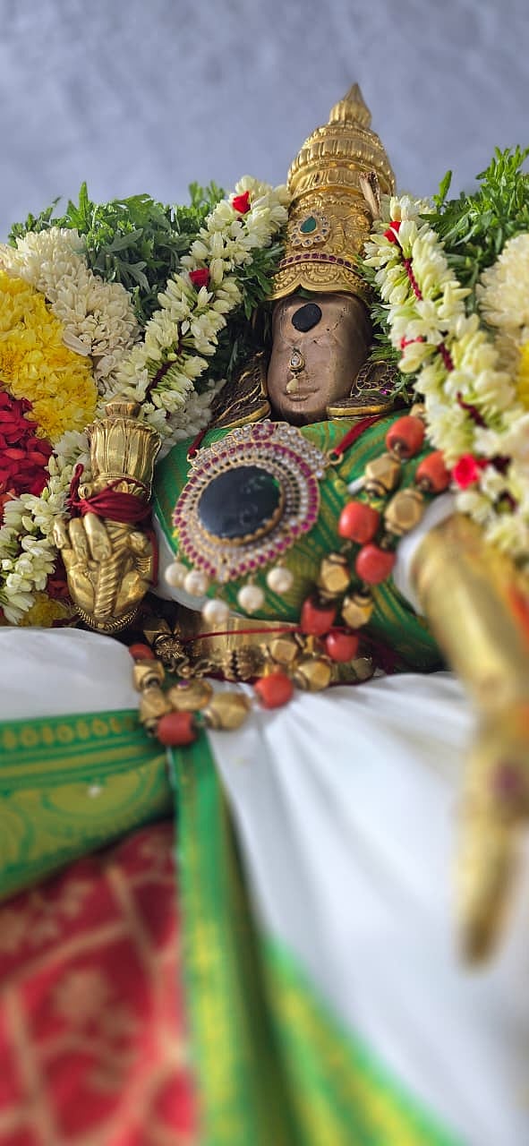 மீனாட்சி சுந்தரேசுவரர் கோயில் ஆவணித் திருவிழா: அம்பாள் தங்கசப்பரம், யானை வாகனத்தில் சுவாமி | Photos