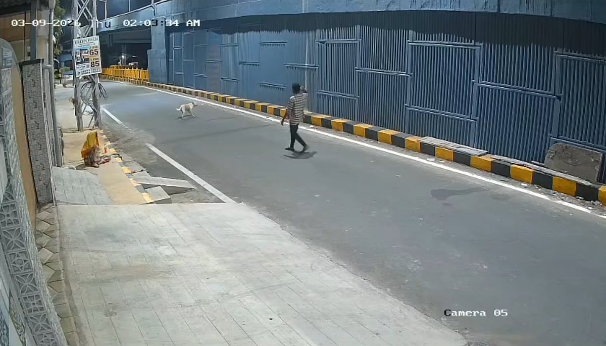 பெண்ணை காப்பாற்றிய தெருநாய்கள்