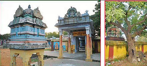 திருப்போரூர் முருகன் கோயில்