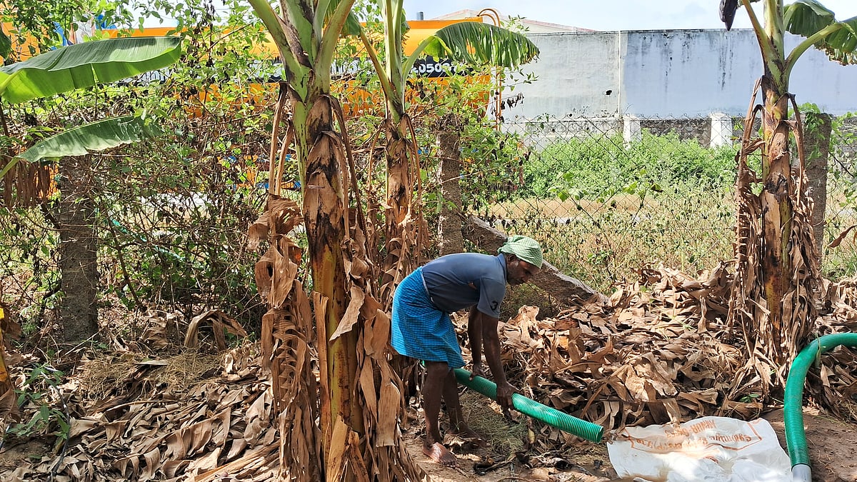 தண்ணீரை விலைக்கு வாங்கும் விவசாயிகள்