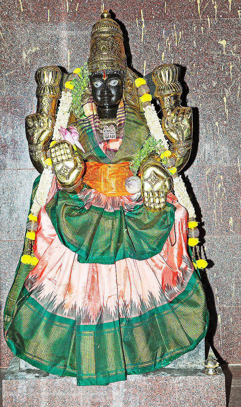 திருச்சி மாவட்டம், கோபுரப்பட்டி ஸ்ரீஆதிநாயகபெருமாள்: இவரை தரிசித்தால் வாழ்வில் உணவுப் பஞ்சமே வராது!