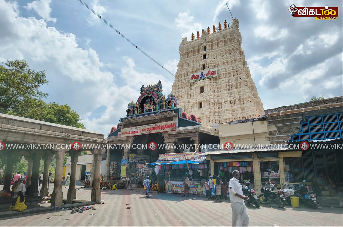 பாபநாசர் கோயில்: `பக்தர்கள் தானமாக வழங்கும் பசுக்கள் கேரளாவில் விற்பனை? - அதிர்ச்சி குற்றச்சாட்டு!