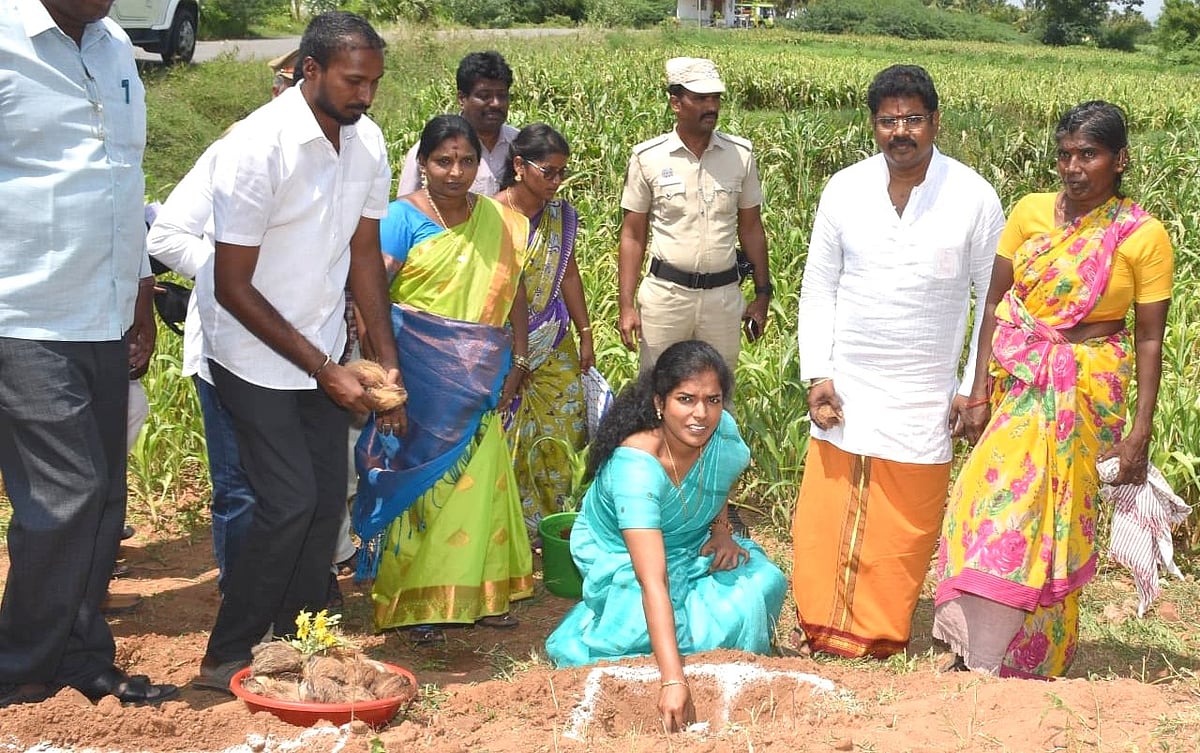 2.5 லட்சம் பனை விதைகள் நடும் பணி... வேலூர் மாவட்ட நிர்வாகத்துடன் இணைந்து முக்கிய பங்காற்றும் இளைஞர்