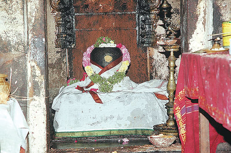 விருதுநகர் மாவட்டம், திருச்சுழி திருமேனிநாதர்: காலையில் தரிசனம் செய்தாலே அஸ்வமேத யாகம் செய்த பலன்!