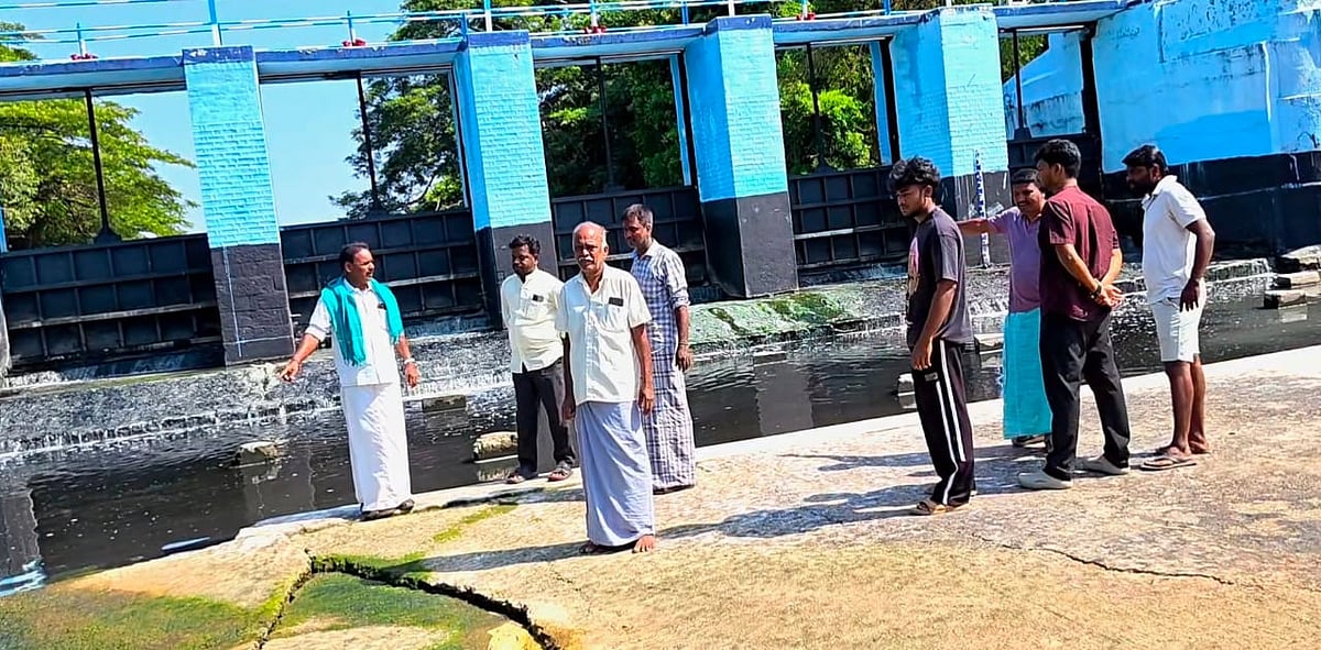 மன்னார்குடி பாமணி ஆற்றில் விவசாயிகள்