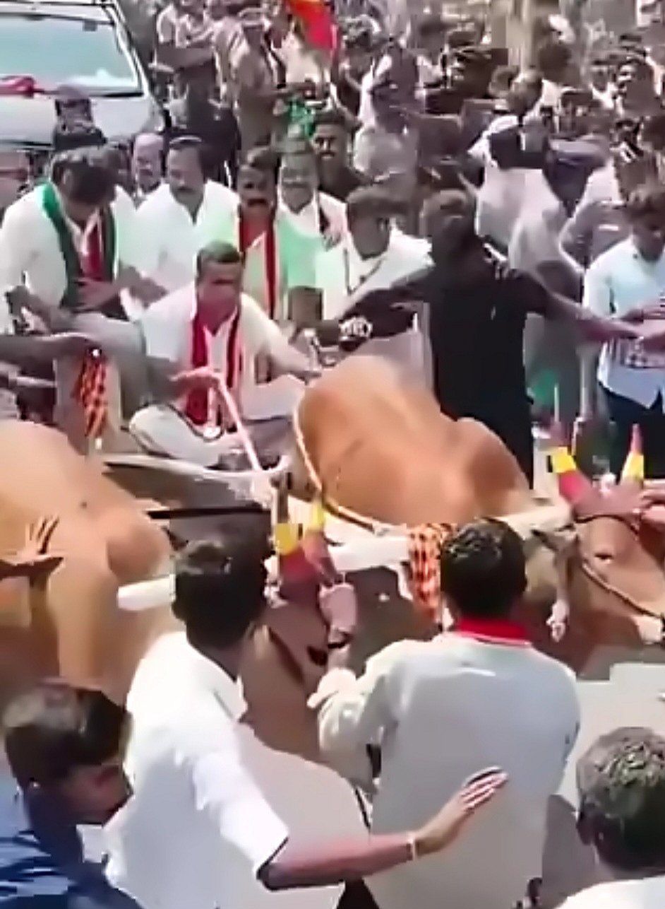 தாராபுரம்: முதல்வர் விஜய்க்கு மாட்டு வண்டி ஓட்டியவர் தேடப்படும் குற்றவாளியா? சர்ச்சை பின்னணி என்ன?