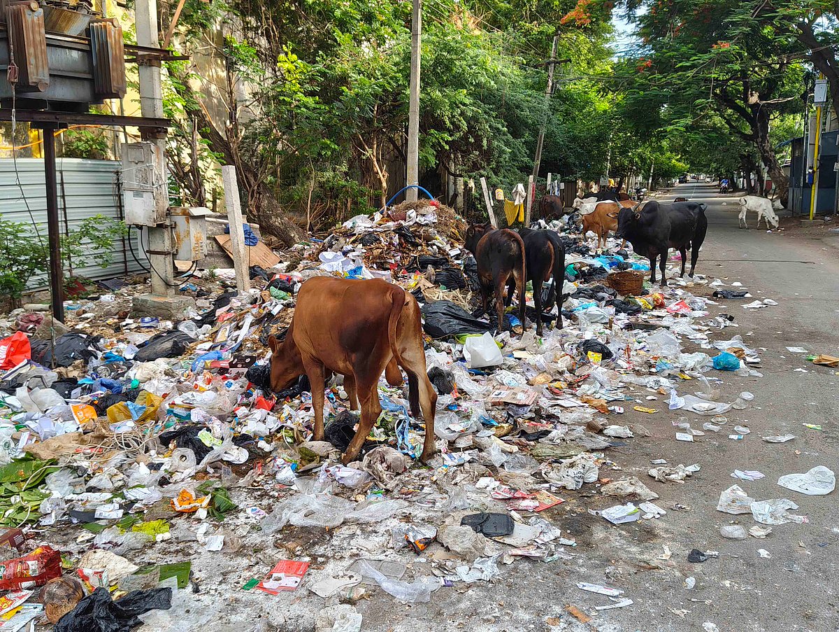 குப்பை குவியல்… துர்நாற்றம்… தூய்மை பணியாளர்கள் போராட்டத்தால் மதுரை மக்கள் அவதி!