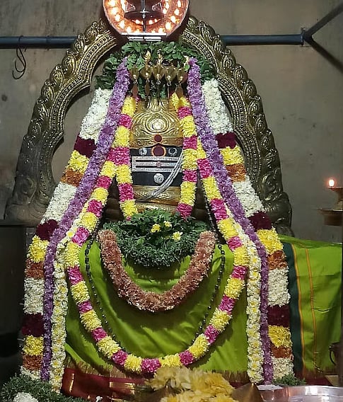 வேலூர் ஸ்ரீஜலகண்டேஸ்வரர் திருக்கோயிலில் சுயம்வர கலாபார்வதி ஹோமம்... நீங்களும் சங்கல்பிக்கலாம்!
