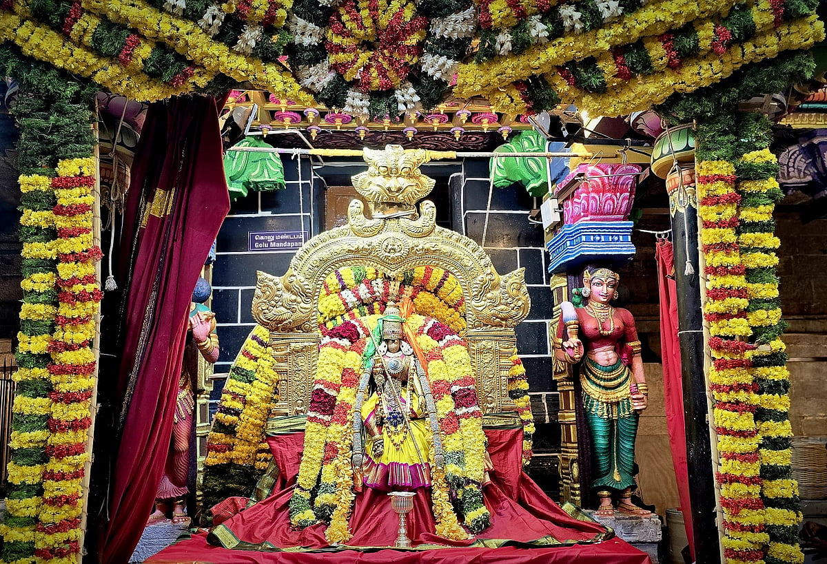 மீனாட்சி திருக்கோயிலில் நவராத்திரி திருவிழா: அன்னை மீனாட்சி பட்டாபிஷேக திருக்கோலம் | Photo Album