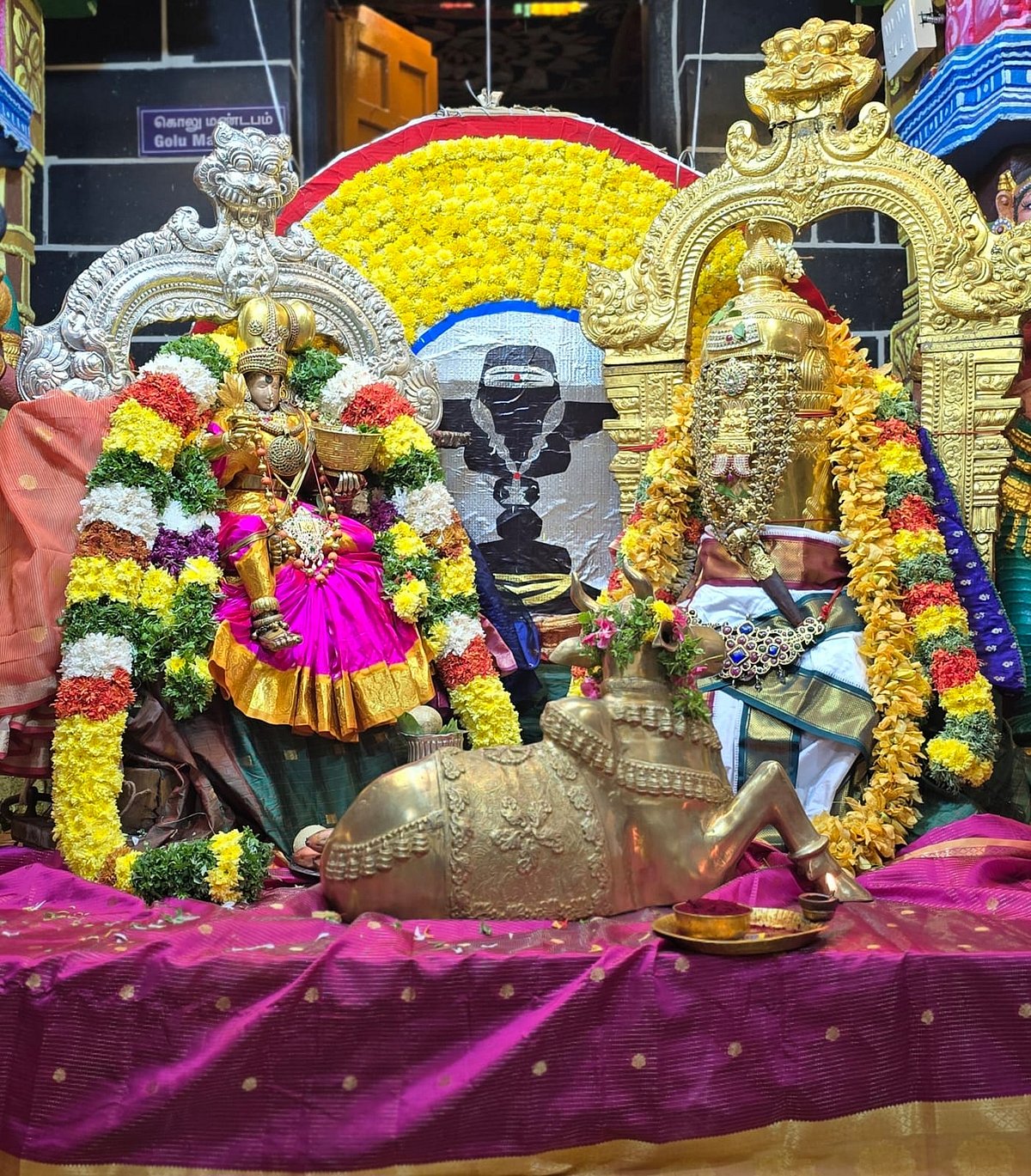 மீனாட்சி சுந்தரேசுவரர் திருக்கோயில் நவராத்திரி திருவிழா 9ம்நாள்:  அன்னை மீனாட்சி சிவபூசை திருக்கோலம்