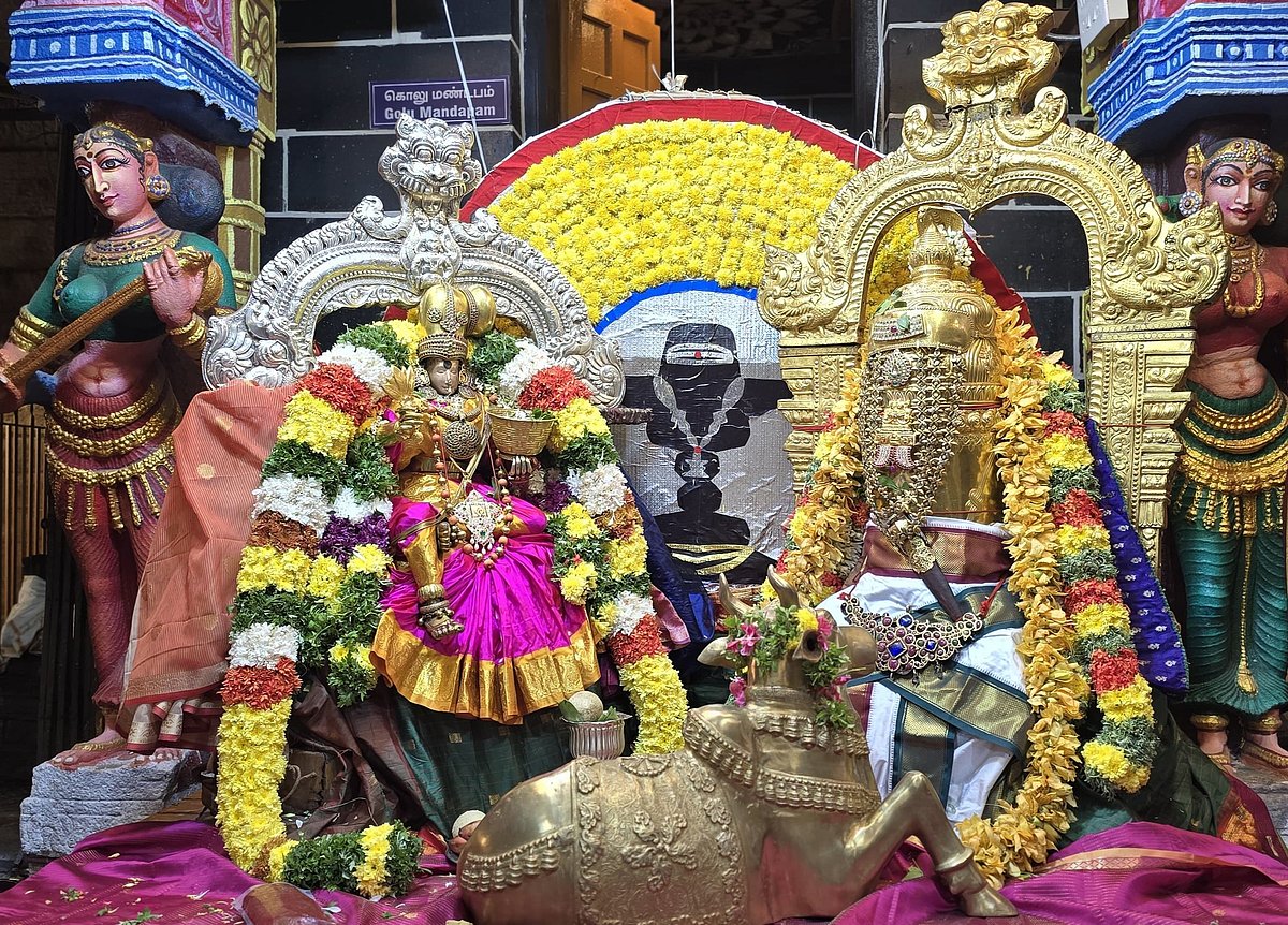 மீனாட்சி சுந்தரேசுவரர் திருக்கோயில் நவராத்திரி திருவிழா 9ம்நாள்:  அன்னை மீனாட்சி சிவபூசை திருக்கோலம்