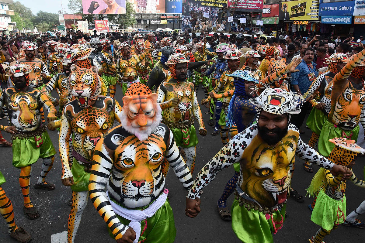 செண்டை முழங்க... புலிகள் உரும... கேரளத்தை அதிரவைக்கும் புலிகளி ஊர்வலம்! | Photo Album