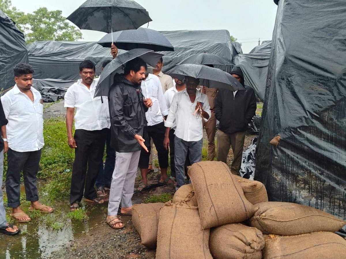 `மழையில் நெல் மூட்டைகளை பாதுகாப்பதை விட என்ன வேலை? - அலட்சிய அதிகாரிகளை கடிந்த அமைச்சர் வினோத்!