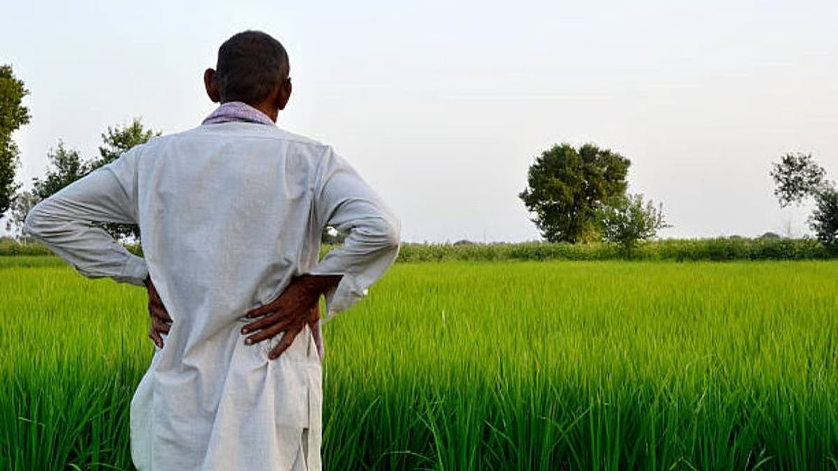 மகாராஷ்டிரா விவசாயிகள்