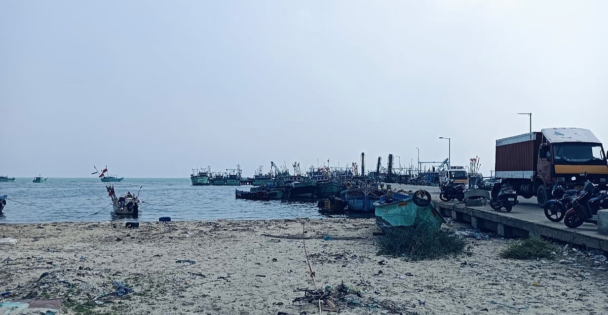 தருவைகுளம் மீன்பிடித்துறைமுகம்