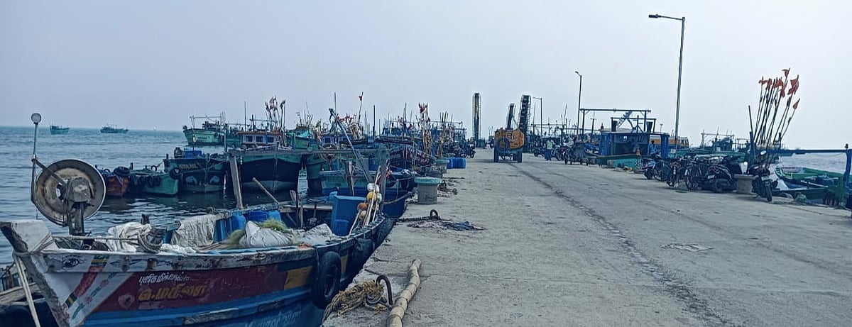 தருவைகுளம் மீன்பிடித் துறைமுகம்